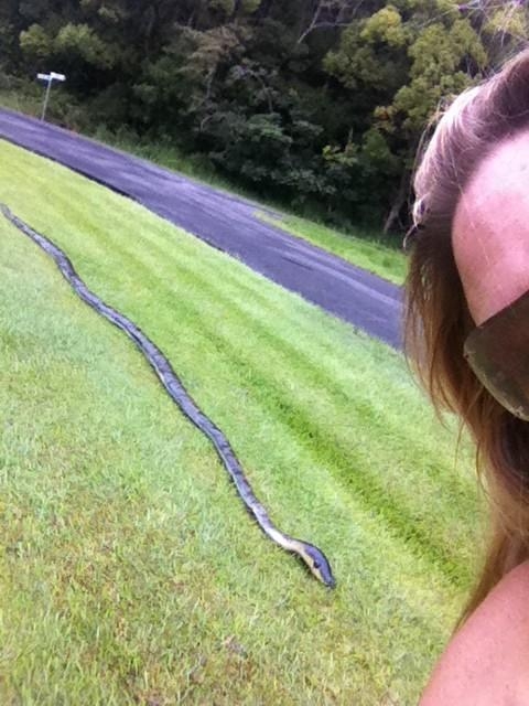 Picture about: Look at the size of this thing!