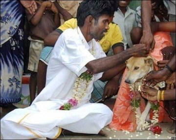 Picture of Man in India Marries Dog