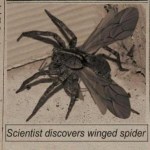 Picture about Scientist Discovers Winged Spider
