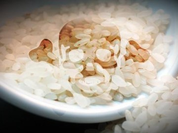 Picture about Fake, Plastic Rice in China