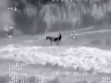 Picture about US Drone Captures ISIS Militant Having Sexual Intercourse with Donkey