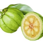 Picture about Lose at Least 10 Kg of Stomach Fat in Just 1 Month Using Pure Cambogia Ultra