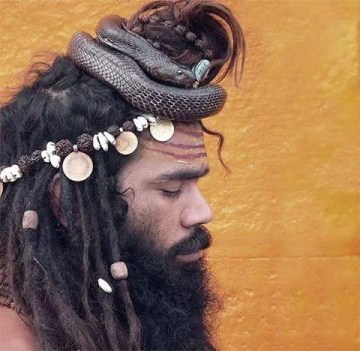 Picture of Indian Sadhu Meditating with Snake on Head