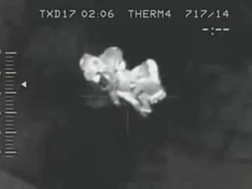 Picture about Man Eaten by Zombies Night Vision Video