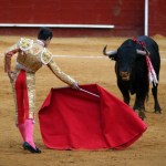 Picture Suggesting Bulls Hate Red Color and Charge When They See One