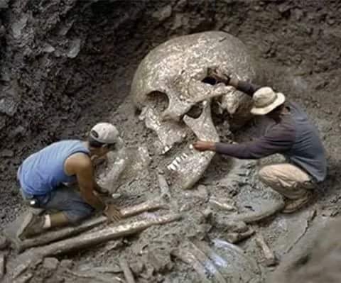 Discovery Channel Found 80 Feet Human Skeleton in India: Fact Check