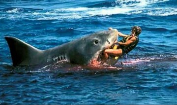 Picture about Hero Uncle Wrestled 7 Foot Bull Shark to Save Nephew’s Severed Arm in 2001