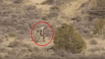 Picture about Strange Alien Creature Filmed in the Portuguese Desert