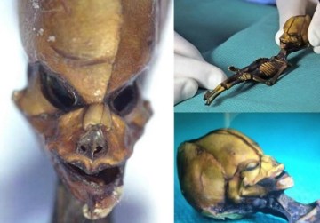 Picture Suggesting 6-Inch Mysterious Alien Skeleton Discovered in Atacama Desert