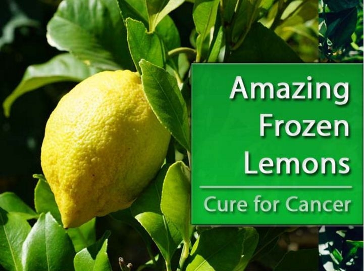 Picture Suggesting Frozen Lemons Kill Cancer, 10,000 Times Stronger than Chemotherapy