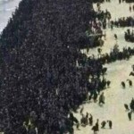 Picture Suggesting Millions of Birds Gather Unnaturally at Ras Al Khaimah Beach in UAE