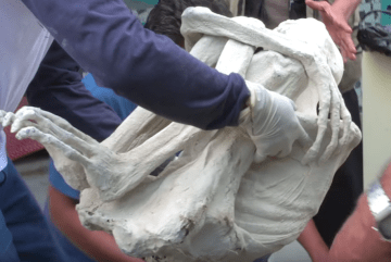 Picture about: Researchers Find Three-fingered Alien Mummy in Nazca, Peru