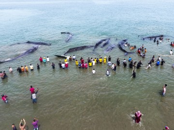 Picture about: Babu Kalayil Prediction, Major Earth Changes Wipe Out Asia Before 31st December 2017