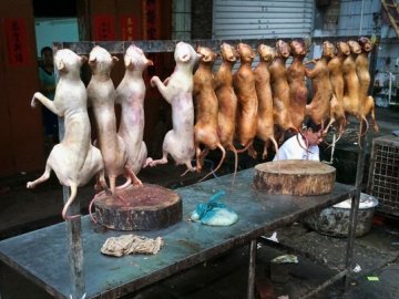 Picture about Dog Meat Sale Allowed in Los Angeles Restaurant