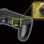 Picture about Killing Dogs Making PlayStation Controllers