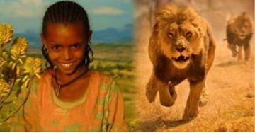 Picture about Lions Saved Kidnapped Ethiopian Girl