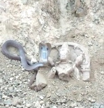 Image about Cobra Snake Found Safeguarding Lord Shiva Idol at Sadashivgad