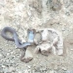Image about Cobra Snake Found Safeguarding Lord Shiva Idol at Sadashivgad