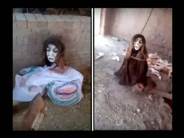 Image about Alien Caught Attacking Animals in Karnataka Village