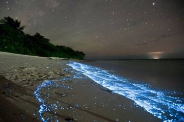 Image of Vaadhoo Island Glowing Blue Tide at Night