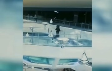 Image about Woman Falls Into Shark Tank, Survives Miraculously