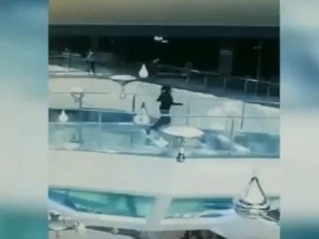 Image about Woman Falls Into Shark Tank, Survives Miraculously