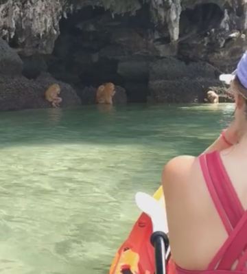 Image about Ewok-like Creatures Discovered Near Thailand Cave