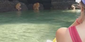 Image about Ewok-like Creatures Discovered Near Thailand Cave