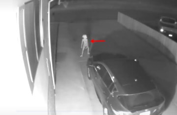 Image about Harry Potter's Dobby Appeared in a Creepy CCTV Footage