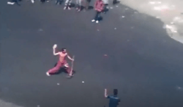 Image about Indian Army Dogs Attack Stone Pelter in Kashmir, Video