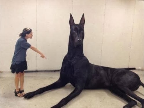 Amazing Picture of Clifford, the Big Black Dog: Fact Check