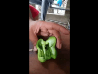 Image about Dangerous Thin Snake Worm Inside Capsicum and Cabbage