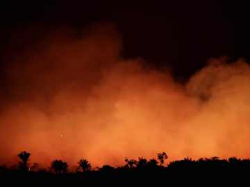 Fake Photographs of Massive Fire in Amazon Forest, 2019