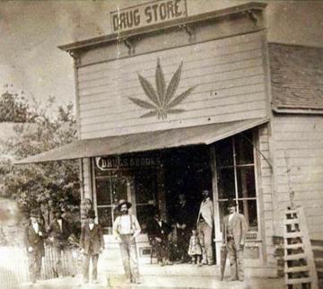 Image about Drug Store in Late 1800's With Marijuana Leaf Symbol