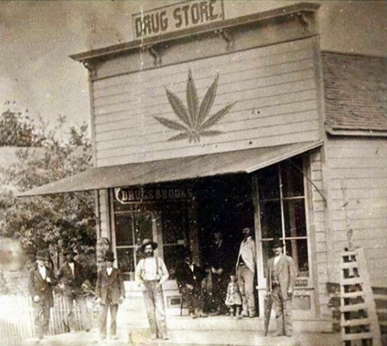 Image about Drug Store in Late 1800's With Marijuana Leaf Symbol