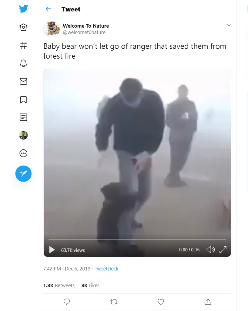 Image about Baby Bear Hugging Rescue Ranger Post Forest Fire