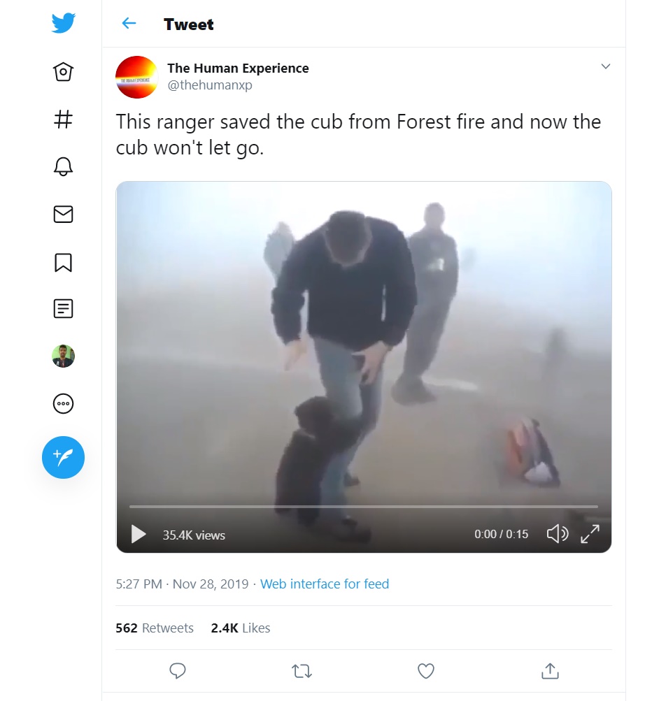 Image about Baby Bear Hugging Rescue Ranger Post Forest Fire