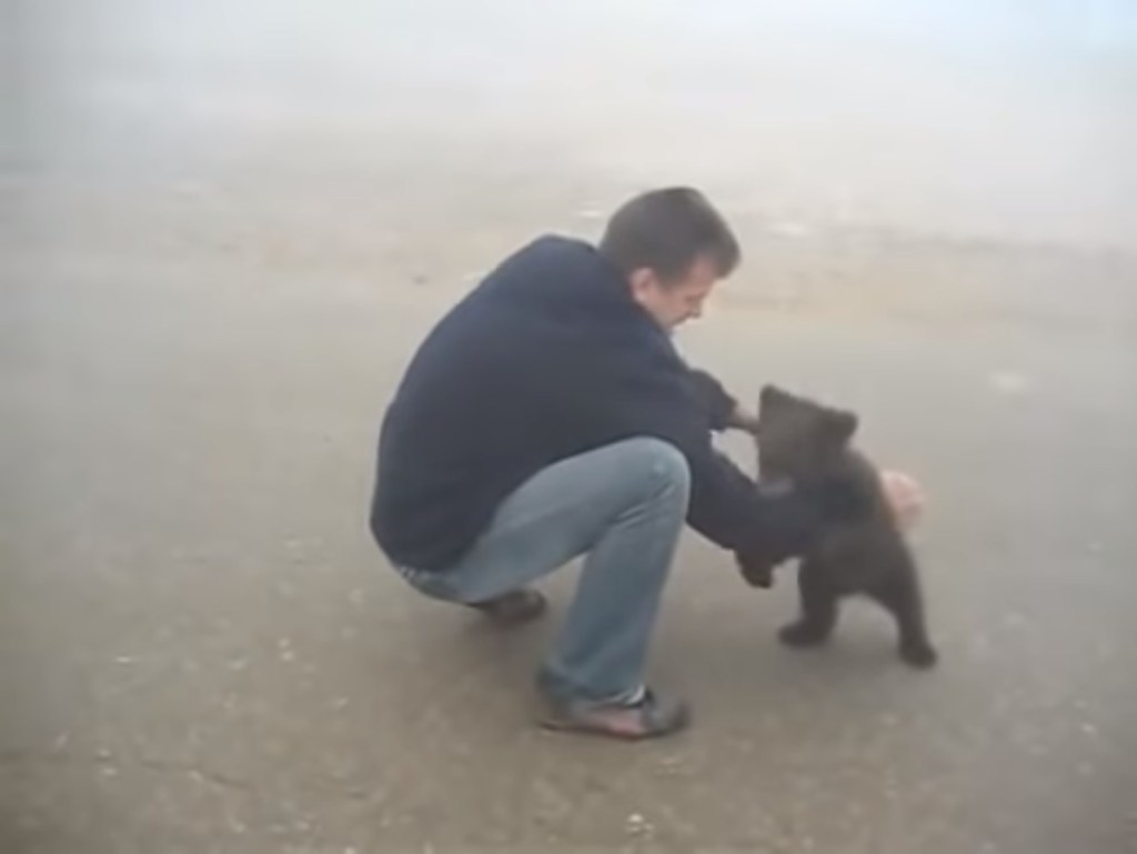 Image of Playing around in foggy weather