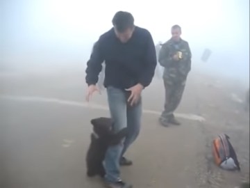 Image about Baby Bear Hugging Rescue Ranger Post Forest Fire