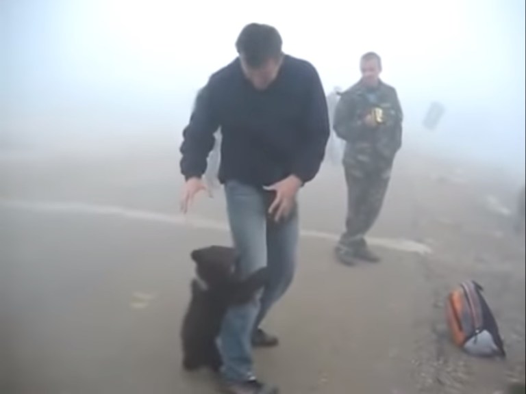 Image about Baby Bear Hugging Rescue Ranger Post Forest Fire