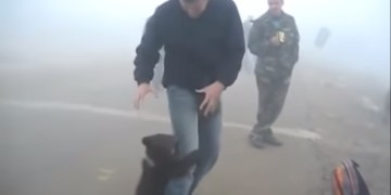 Image about Baby Bear Hugging Rescue Ranger Post Forest Fire