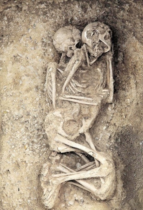 Image of Sofia Voutsaki's excavation of 'Mycenaean Sparta' in summer of 2013