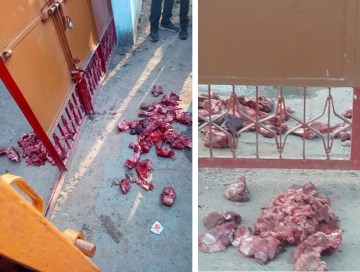 Image of Meat Thrown Near Shiv Temple in Jharkhand Causes Outrage
