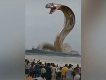 Image about Giant Cobra Snake Rising Out of River Water, Video