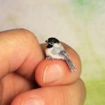 Image about Photograph of World's Smallest Bird Zunzuncito