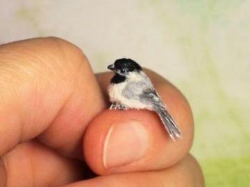 Image about Photograph of World's Smallest Bird Zunzuncito