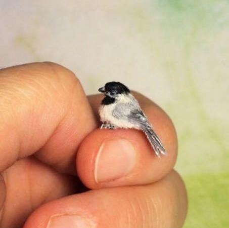 Photograph of World’s Smallest Bird Zunzuncito: Fact Check
