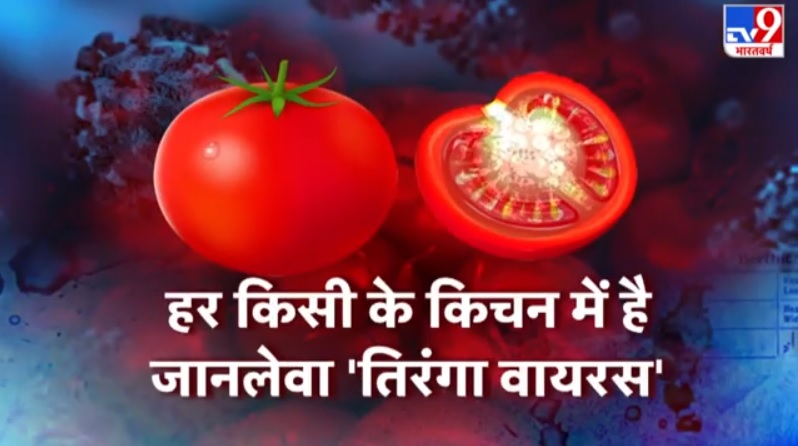 Image about Deadly New Tiranga Virus in Tomato Crops of Maharashtra