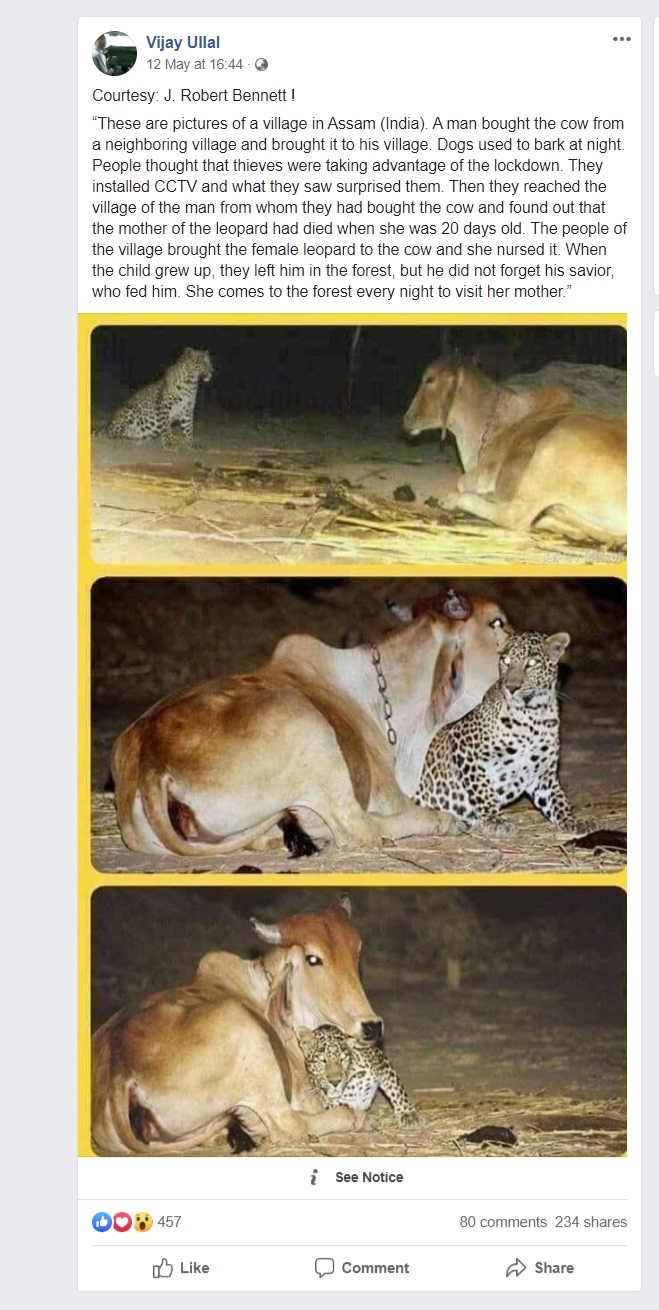 Image of story circulating on social media