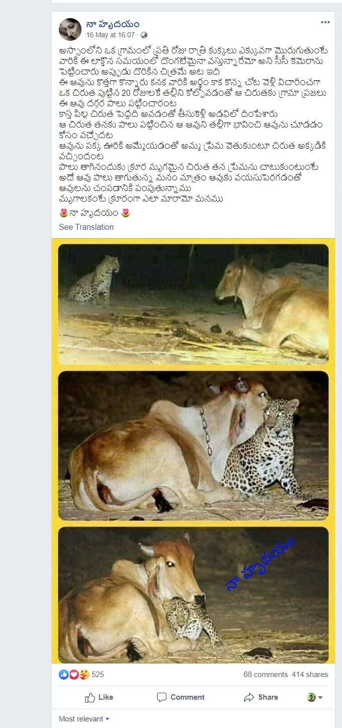 Image of story circulating on social media